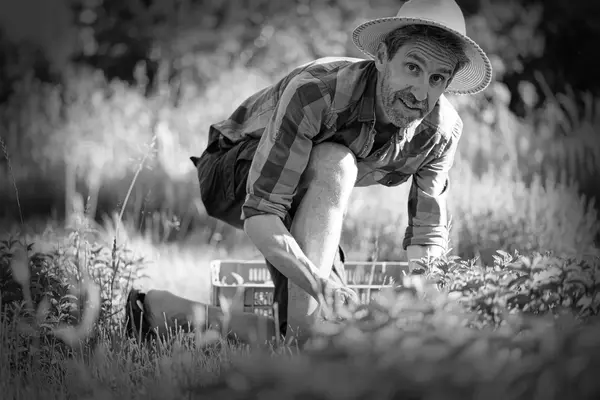 CHAPEAU DE PAILLE ET BOTTES DE PLUIE - Claude & Nicolas BERARD 