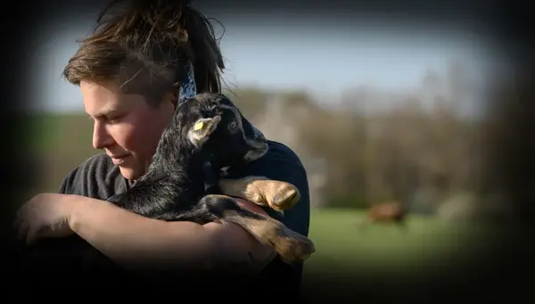 LES PAMPILLES DE LA PLAINE - Chloé REGENWETTER