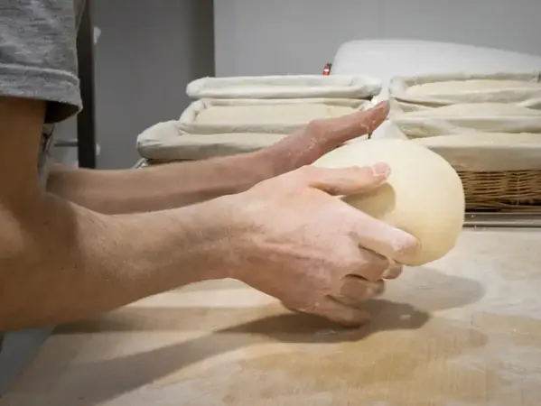 LA FABRIQUE DES MILLE ETANGS - Rémi MARCHE LA FABRIQUE DES MILLE ETANGS - Rémi MARCHE