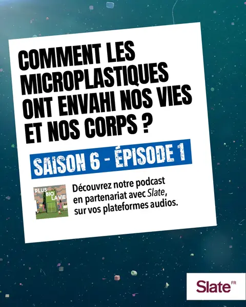Comment les microplastiques ont envahi nos vies et nos corps Comment les microplastiques ont envahi nos vies et nos corps